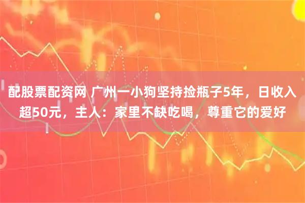 配股票配资网 广州一小狗坚持捡瓶子5年，日收入超50元，主人：家里不缺吃喝，尊重它的爱好
